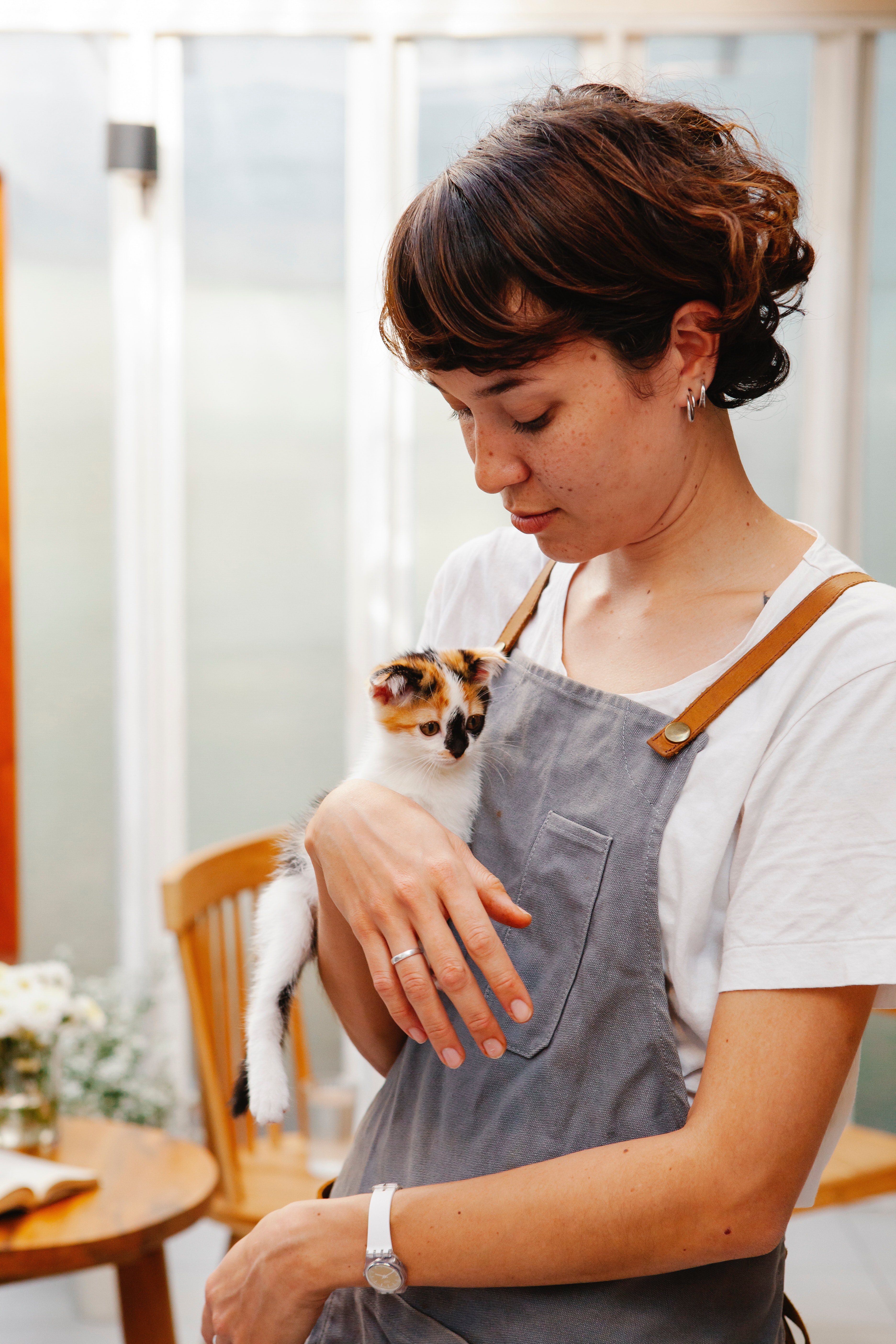 Worker holding cat