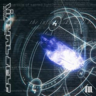 Virtual Self Album