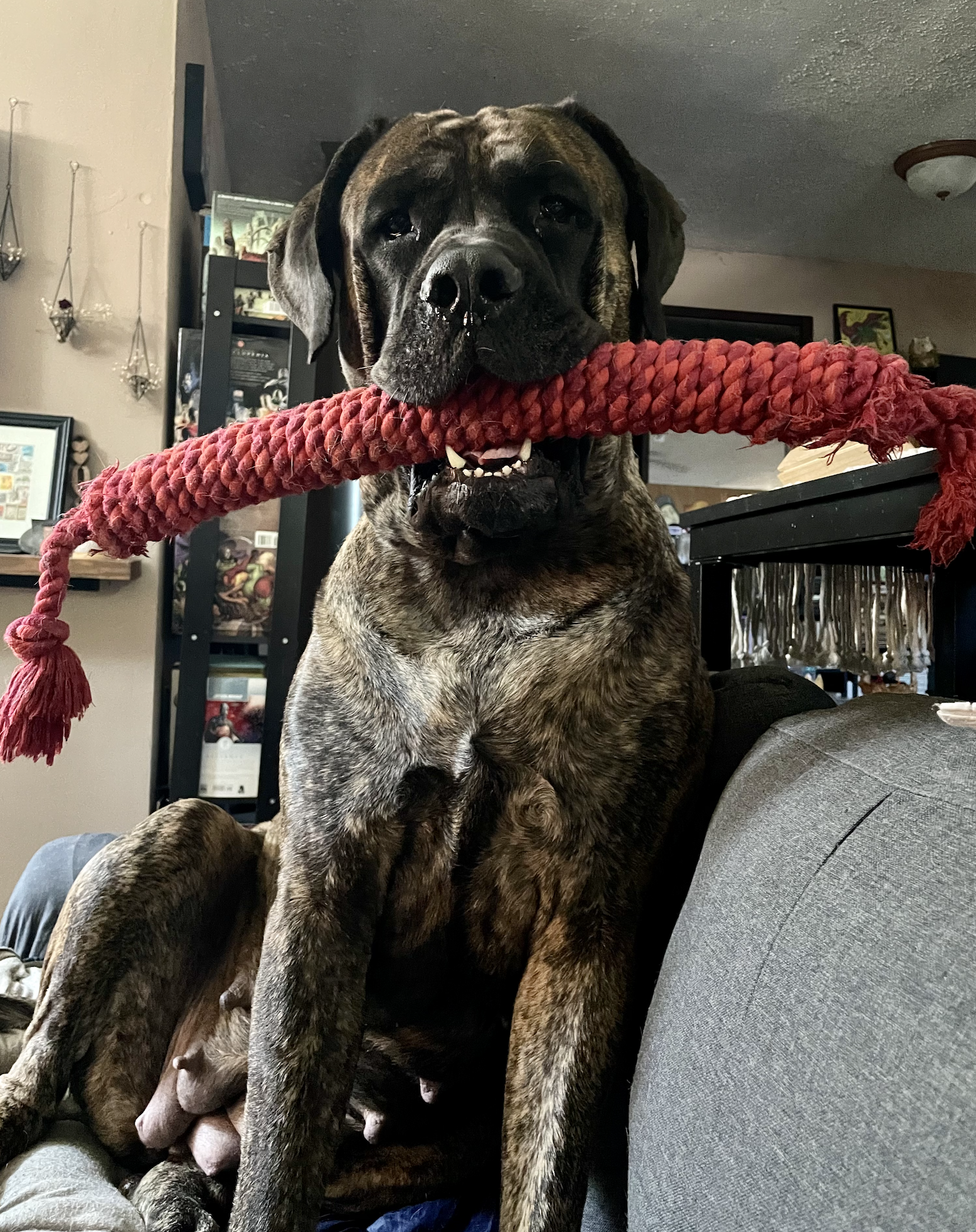 Bear with her favorite toy