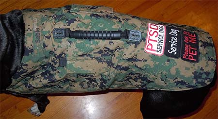 Vest styled with large handle on a service dog vest.
