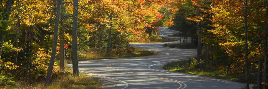 Winding Road