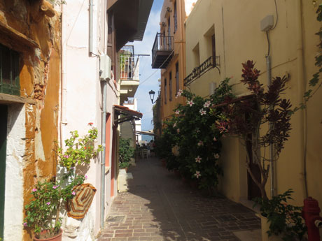 Flowers in Chania